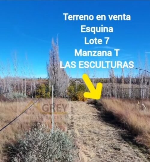 Lote en Esquina de 292 m – Parque Las Esculturas | Allen (Frente a La Luisa)