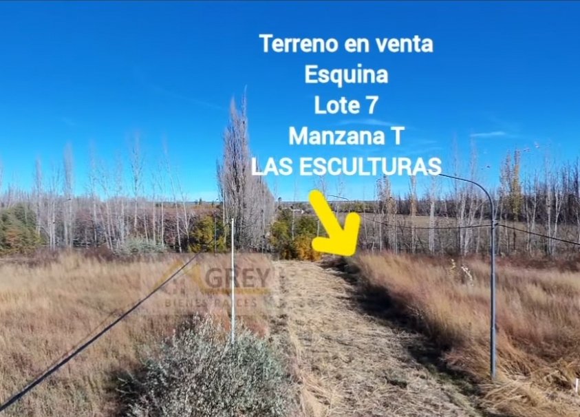imagen de video