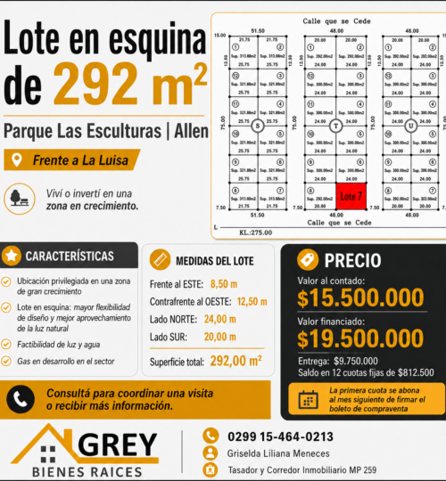 Lote en Esquina de 292 m – Parque Las Esculturas | Allen (Frente a La Luisa)
