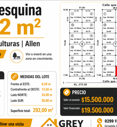 Lote en Esquina de 292 m – Parque Las Esculturas | Allen (Frente a La Luisa)