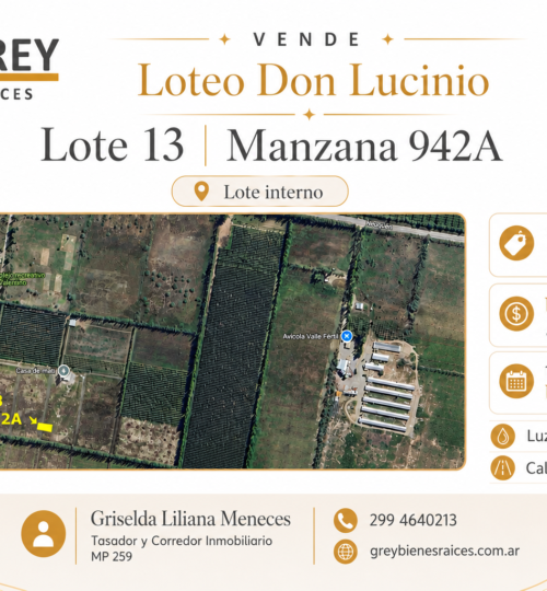 Terreno en venta en Loteo Don Lucinio – Lote 13 – Allen